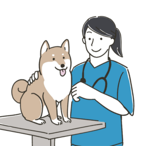 Avatar Veterinaria Medico veterinario donna Clinica Animal Care Trento