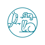 animali-non-convenzionali-veterinario-trento Cura animali esotici e non convenzionali