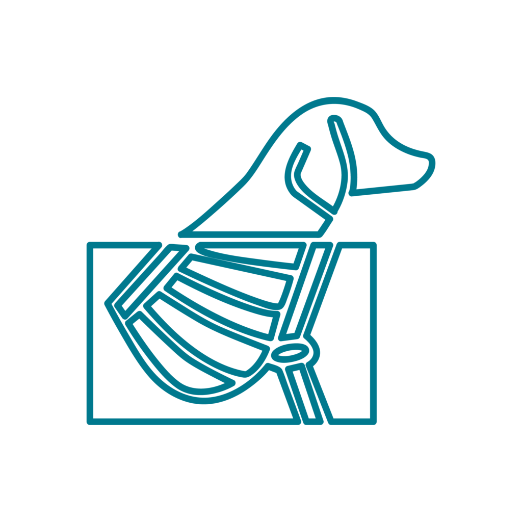 Radiologia veterinaria digitale