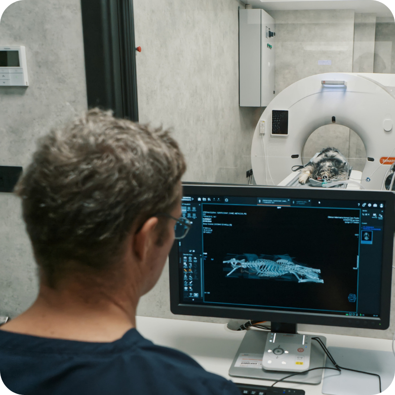 Medico veterinario durante esame di tomografia computerizzata presso la Clinica Veterinaria Animal Care Trento